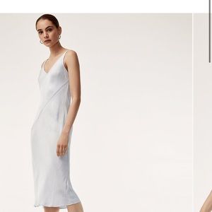 Gorgeous champagne Babaton by Aritzia slip dress